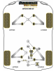 POWERFLEX POUR MG MGTF (2002-2009)