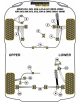 POWERFLEX POUR HONDA INTEGRA MODELS , INTEGRA TYPE R DC2 (19