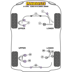 POWERFLEX POUR JAGUAR (DAIMLER) XK, XKR - X150 (2006-)