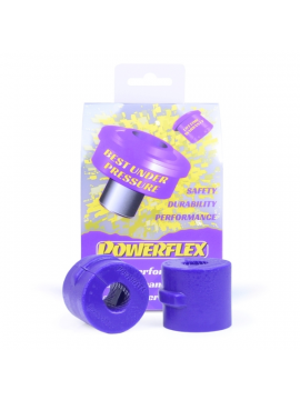 POWERFLEX POUR PEUGEOT 306