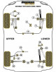 POWERFLEX INFERIOR CUERPO POST. Nº9