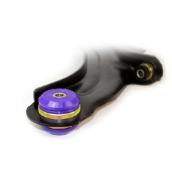 POWERFLEX POUR RENAULT SCENIC II (2003-2009)