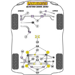 POWERFLEX FOR PORSCHE MACAN (2014 EN ADELANTE)