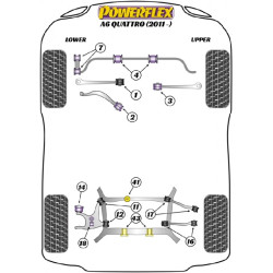 POWERFLEX POUR PORSCHE MACAN (2014 EN ADELANTE)