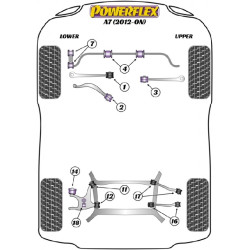 POWERFLEX FOR PORSCHE MACAN (2014 EN ADELANTE)