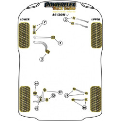 POWERFLEX FOR PORSCHE MACAN (2014 EN ADELANTE)