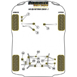 POWERFLEX FOR PORSCHE MACAN (2014 EN ADELANTE)
