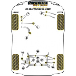 POWERFLEX POUR VOLKSWAGEN PASSAT MODELS , PASSAT B5 (1996 -