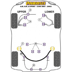 POWERFLEX FOR JAGUAR (DAIMLER) XJ8, XJR, XJ SPORT - X308 (19