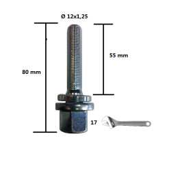 Tornillos planos PSA 12X125