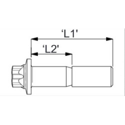 SCREW KIT AP RACING 8 SCREWS