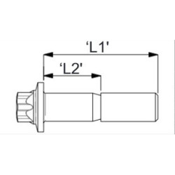 AP RACING SCREWS KIT 12 SCREWS