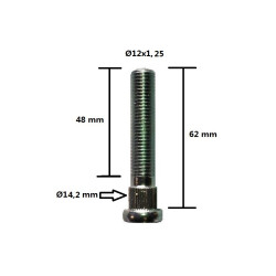 Goujon de roue à tête Ø14,2mm