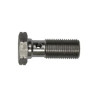 BOLT    M10X1,00 STEEL  25 MM